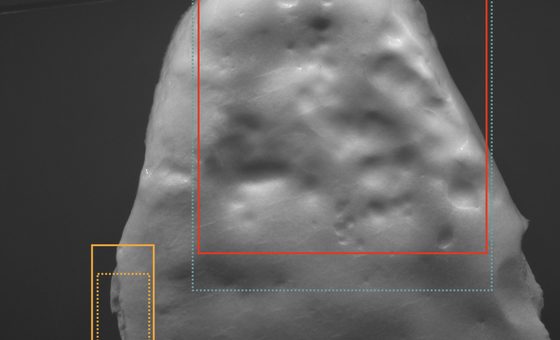 Deeper 10 Contrôle multi-défauts de fromages