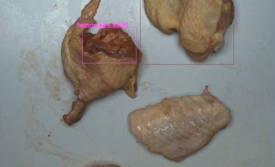 Deeper 11 Détection d'hémorragies sur manchons de poulet